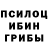 Псилоцибиновые грибы Magic Shrooms Aleksaries Lapasie