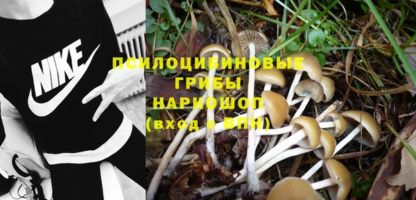 хмурый Абдулино