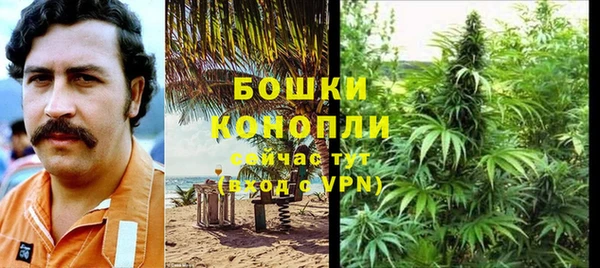 Альфа ПВП Абаза