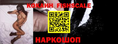 крисы Гусев