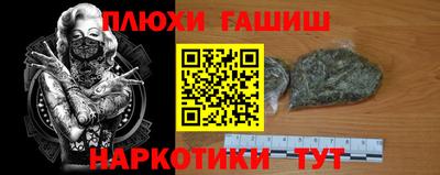 крисы Гусев