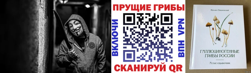 MEGA зеркало  Химки  Галлюциногенные грибы прущие грибы 
