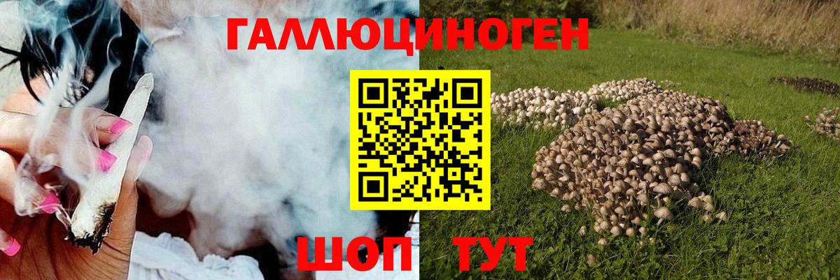 Химки  Галлюциногенные грибы мухоморы  Вход с VPN 