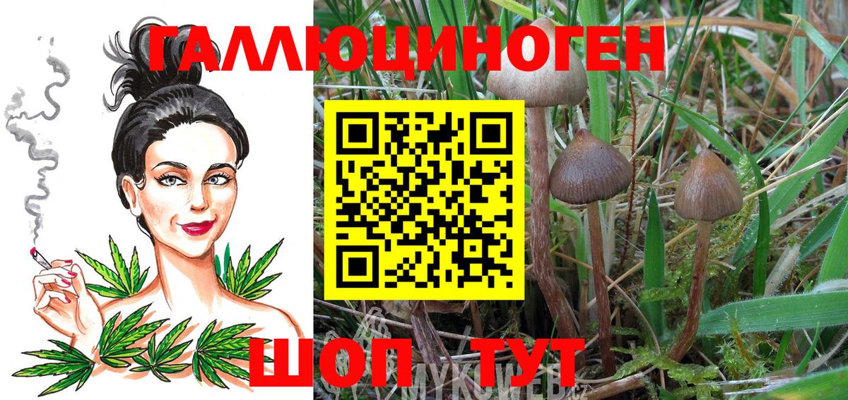 Псилоцибиновые грибы Cubensis Химки